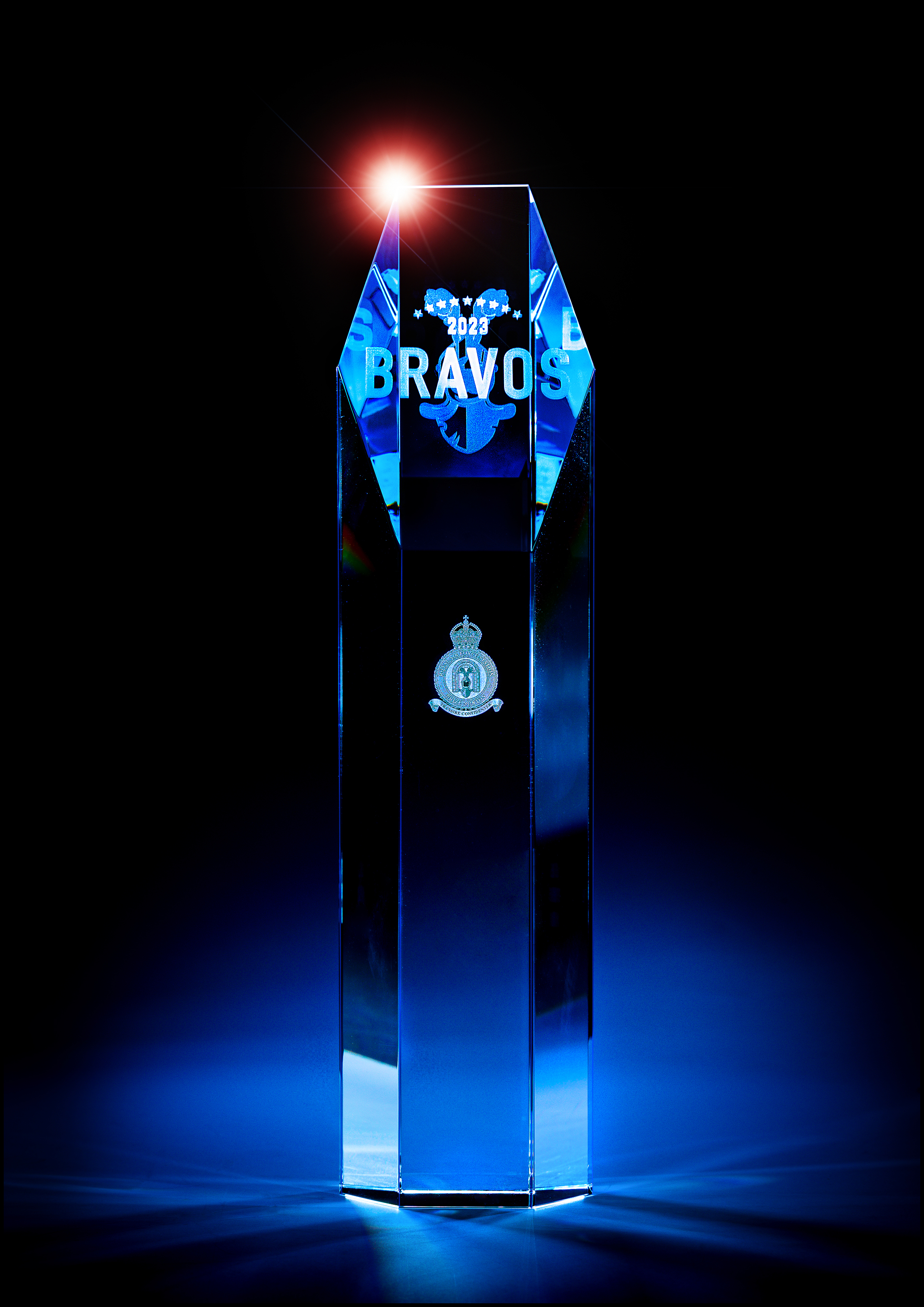 Photo: Image of generic BRAVOS Award